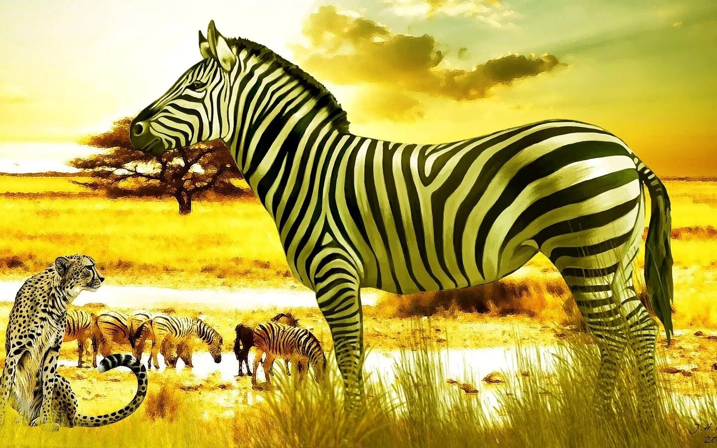 Животное саванны 1. Леопард гепард в дикой природе. Африканский саванный слон. Львы в саванне. Винторогая антилопа.