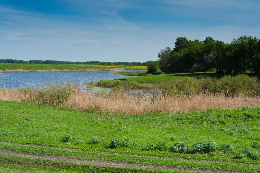 панинском районе воронежской. федоровка панинский район воронежская область. панинском районе воронежской. панинский район воронежская область. панинский район село панино.