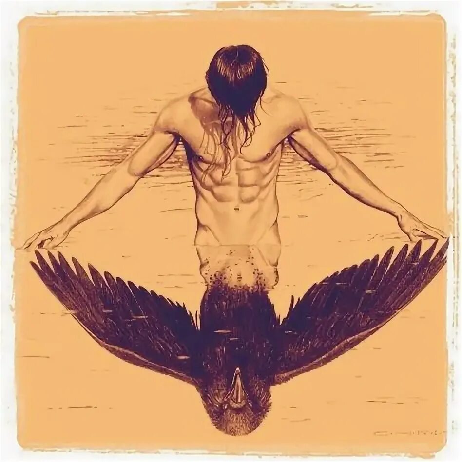 Black as is the raven he