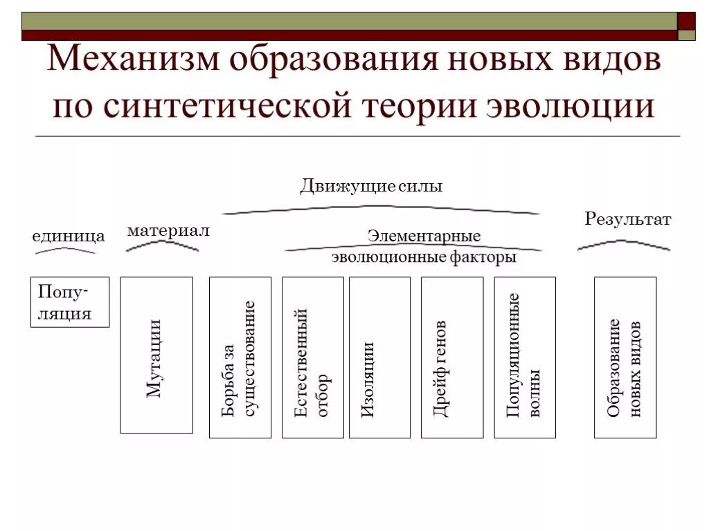 Движущие силы эволюции утверждения. Движущие силы синтетической теории эволюции. движущие силы эволюции по синтетической теории эволюции. схема движущие силы и факторы эволюции. движущие силы эволюции по стэ таблица.