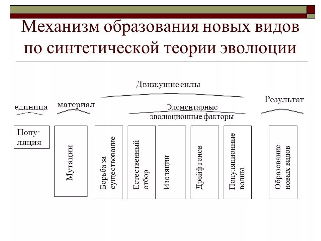 Движущая сила появления признака. Движущие силы эволюции СТЭ таблица. Движущие силы эволюции по синтетической теории эволюции. Схема движущие силы и факторы эволюции.