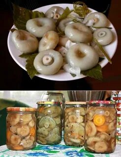 Грузди соленые с уксусом рецепт на зиму