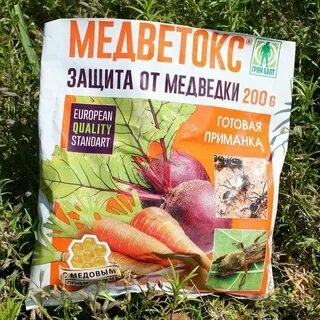 Средство от медведки в огороде
