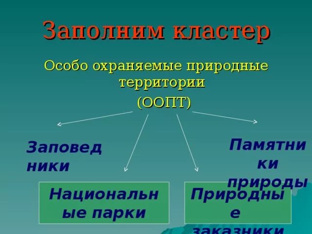 Что является особо охраняемой природной территорией. Что является особо охраняемой природной территорией