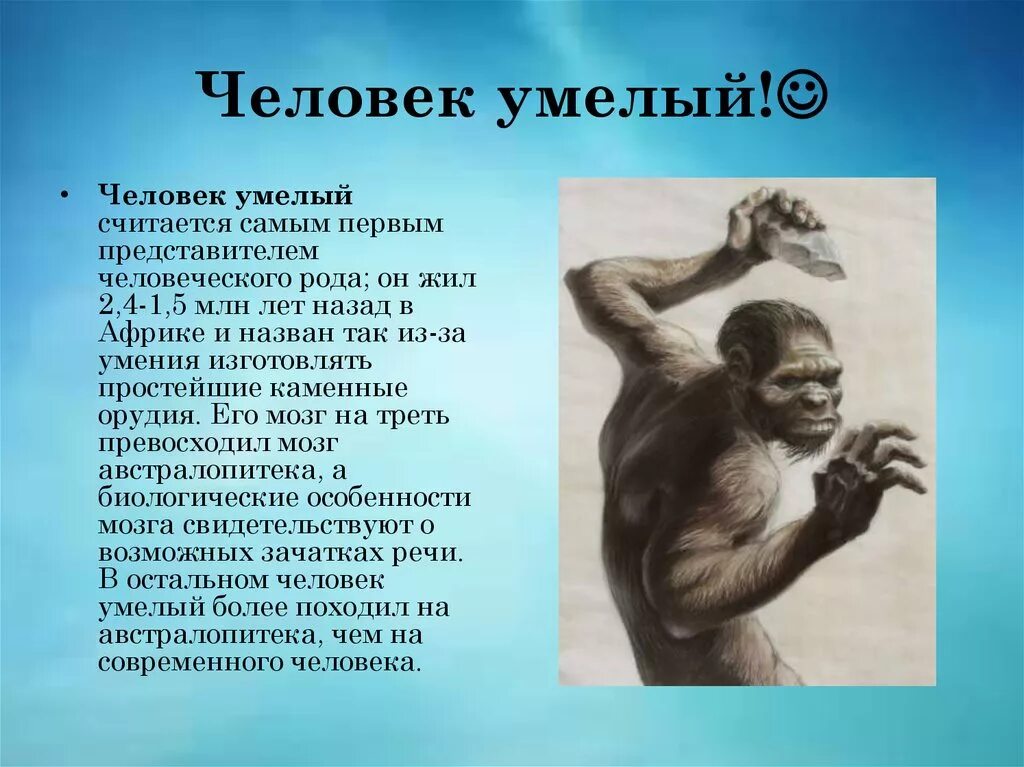 Первые представители рода человек. Человек умелый человек. Умения человека умелого. Человек умелый особенности. Человек умелый характеристика.