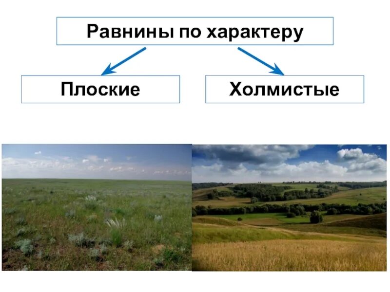 Каких равнин не бывает. Равнины схема. Классификация равнин. Плоские и холмистые равнины. Плоская равнина.