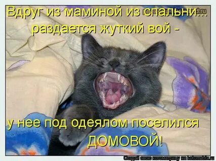 Из чего это вдруг