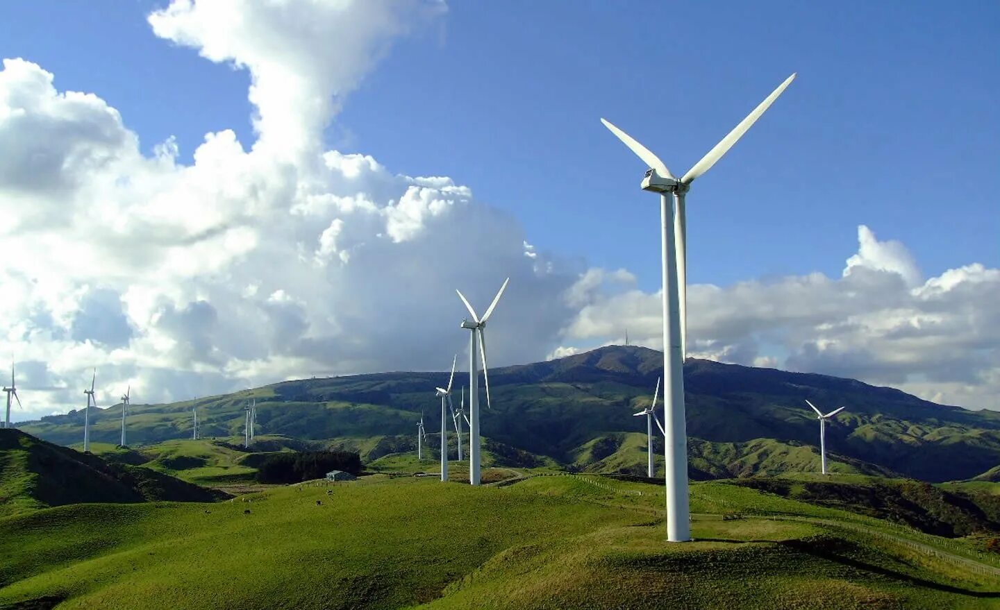 Промышленность новой зеландии. Ветряные электростанции в новой Зеландии. Ветроэнергетика Дании. Ветряные электростанции в Дании. Ветряная электростанция "новая майна".