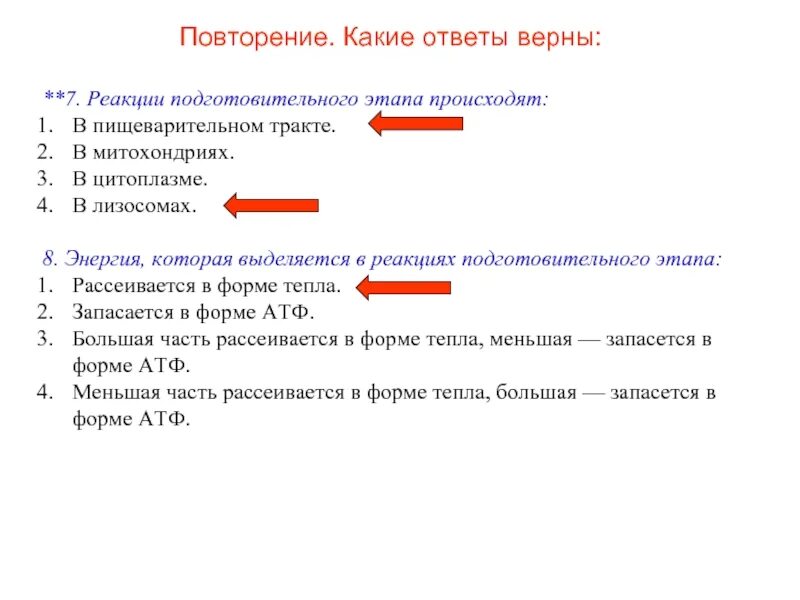 Первая стадия процесса происходит в цитоплазме