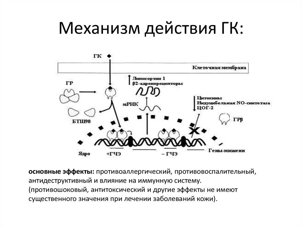 Механизм действия это что. Механизм действия это что. Механизм действия лс это в фармакологии. Механизм действия химического антагонизма. Антагонисты са механизм действия.