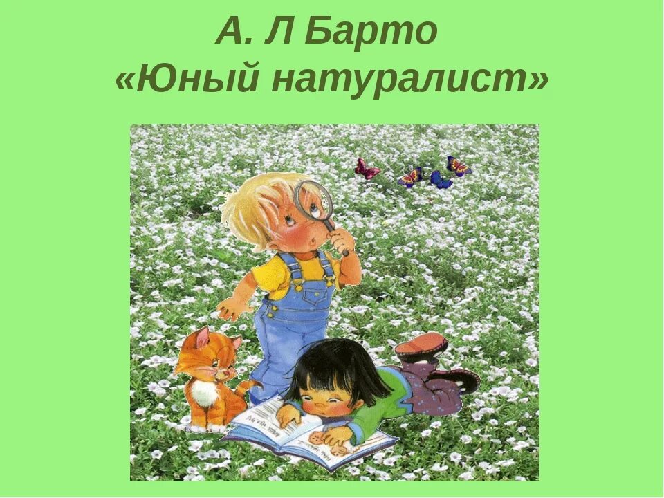 Юный натуралист стих Агнии Барто. Стихотворение Барто Юный натуралист. Стихи Барто Юный натуралист.