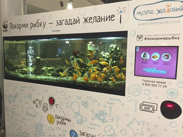 Аквариум покорми рыбок. Аквариум покорми рыбок. Автомат в аквариуме. Покорми рыбку аквариум. Аквариум покорми рыбок.