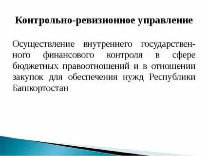 Контрольно ревизионные функции. Контрольно ревизионные функции