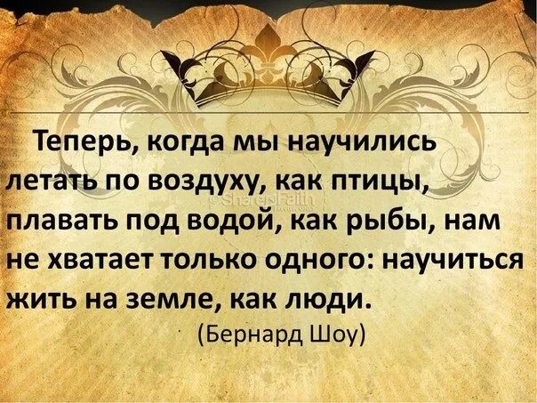 Сколько же нужно мудрости чтобы никогда не. Мудрости сколько их. Мудрости сколько их. Мудрости сколько их. Афоризмы про мудрость.