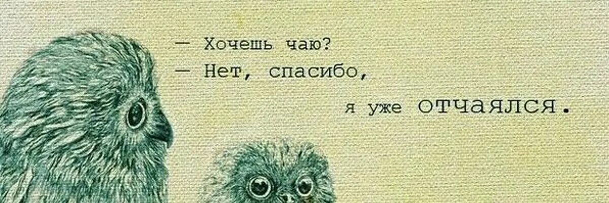 Хочешь чаю. Чаю? Спасибо я уже отчаялся. Хочу чаю картинки. Хочу чаю прикол. Не хотите ли купить