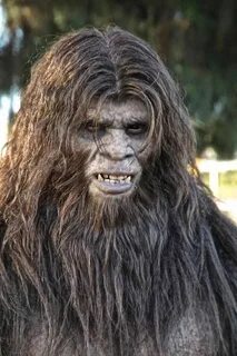 Bigfoot системные