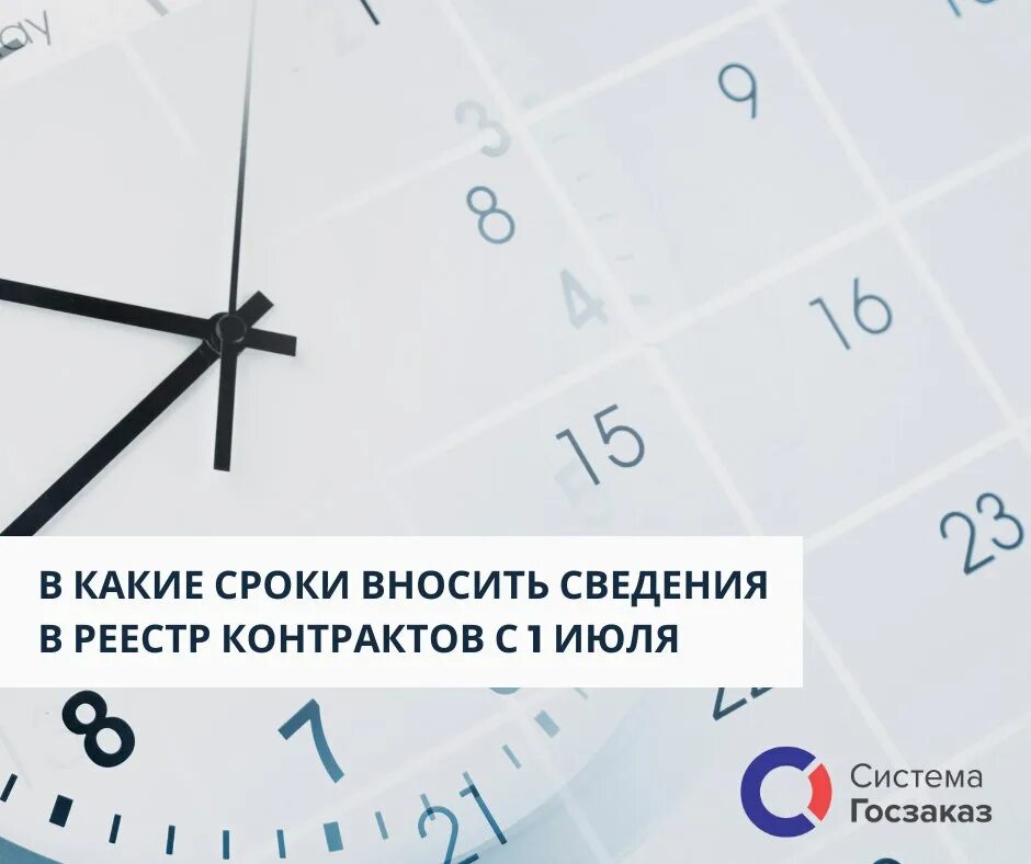 Были внесены по срокам. Кол-во специалистов для сро. Поправки в конституцию. Срок размещения плана графика. Обоснование внесения изменений в план график.