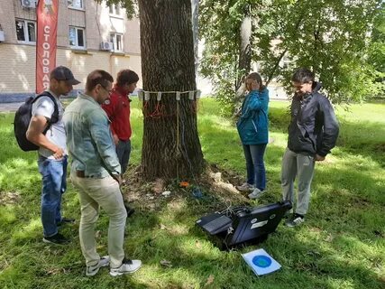 Обследование зеленых насаждений