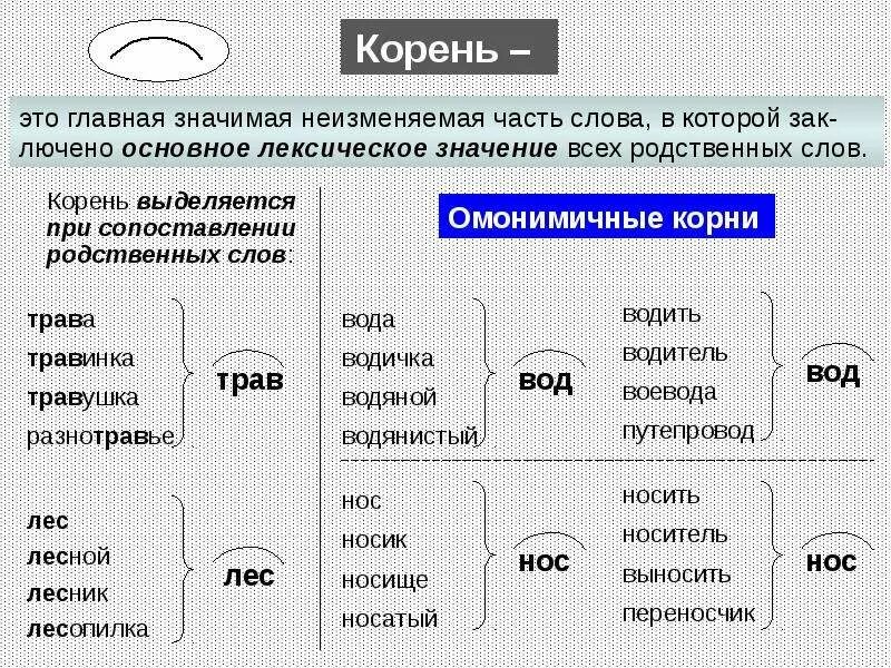 Найти корень в слове прилагательное. Однокоренные слова примеры. Употребление однокоренных слов. Однокоренные слова пр мер. Однокоренные слова схема.