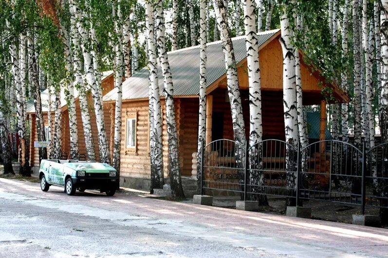 Турбаза берёзовая роща ульяновск пляж. Берёзовая роща ульяновск. Дмитров березовая роща отель. Берёзовая роща турбаза ульяновск. Березовая роща петропавловск.