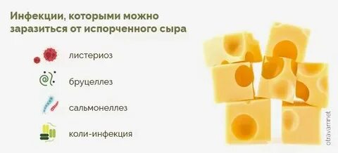Какой сыр можно есть при панкреатите