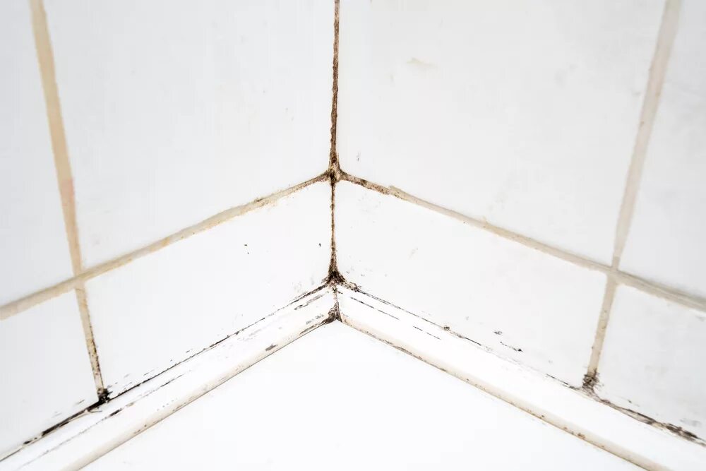 Как убрать плесень в швах плитки. Как убрать плесень в швах плитки. Плесень в ванной до и после. Грибок на плитке в ванной. Плесень в ванной на швах плитки.