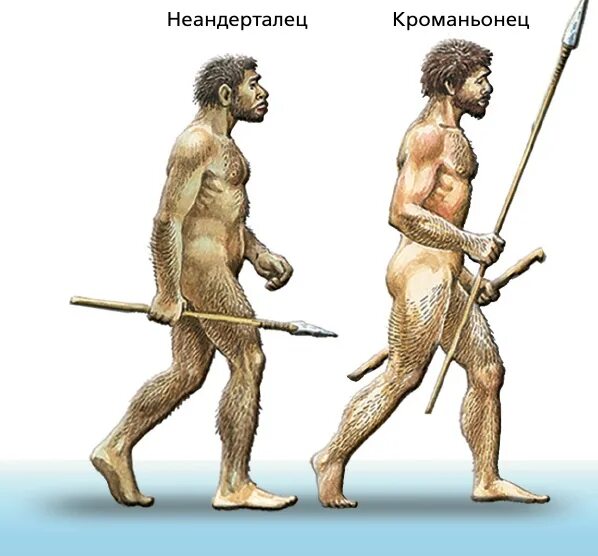 Какой тип древнего