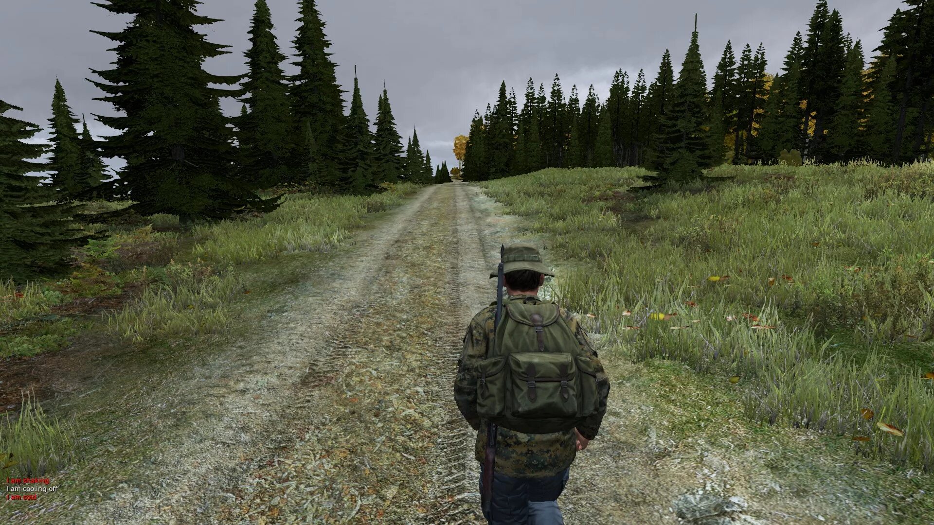 Дейз 2. DAYZ Standalone 2022. Арма 2 дейз. Охотничья куртка DAYZ. Миднайт dayz