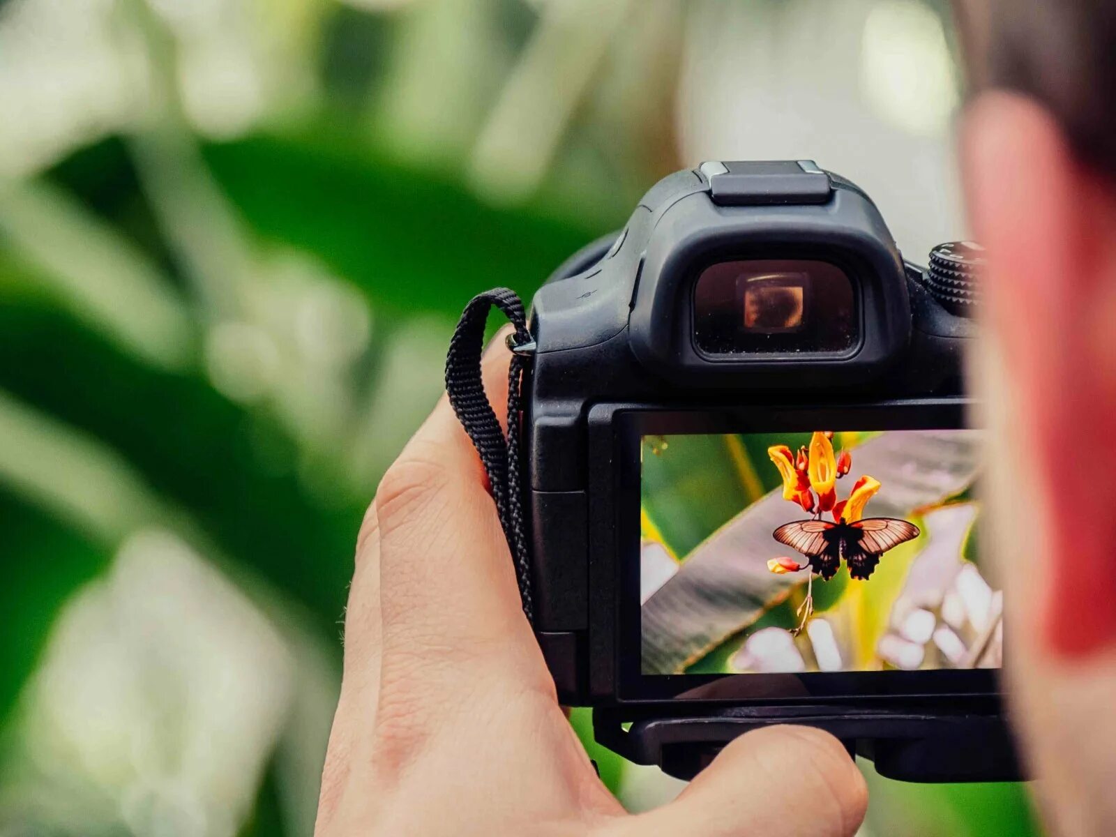 Фотоаппарат. Фотоаппарат в руках. Фотоаппарат Фотографирование. Фотокамеры для съемок.