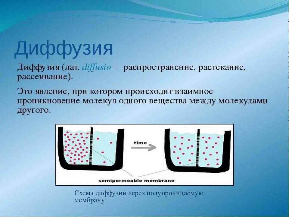 Процесс диффузии может наблюдаться в твердых телах. Диффузия. Диффузия это в физике. Понятие диффузии. Диффузия это в биологии.