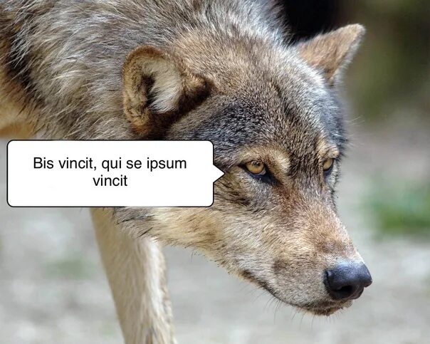 02. Зеркальная дата желание. 2020 angel number. Волк не тот кто волк. Цифры 2020.