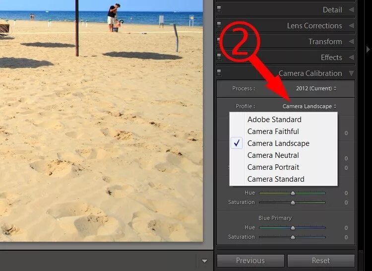 Camera profiles. Лайтрум камера. профили лайтрум. camera calibration в lightroom. как установит профиль в лайтрум.