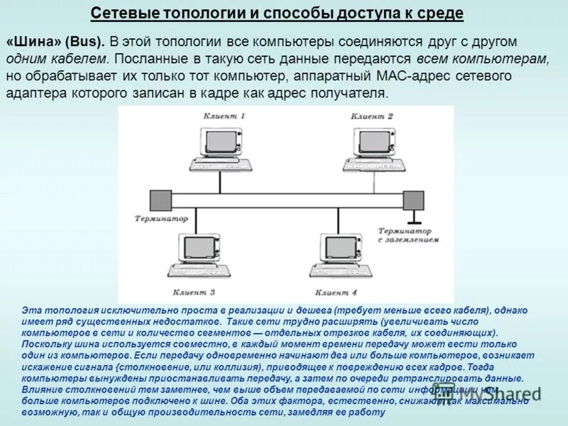 Локальные и глобальные компьютерные сети. 255. Одноранговую локальную сеть с топологией линейная шина. Схема локальной сети одноранговая локальная сеть с топологией звезда. Количество компьютеров в сети.