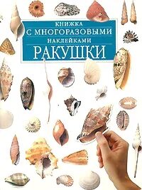 Книга ракушек