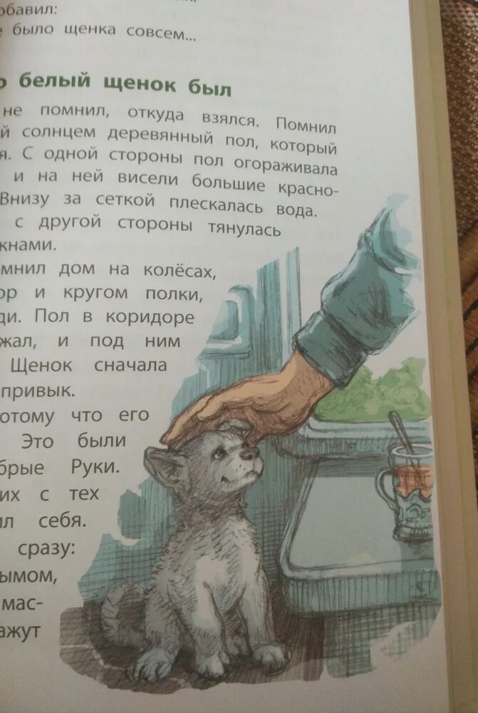 Иллюстрации к белый щенок ищет хозяина крапивин. В крапивина белый щенок ищет хозяина. Белый щенок ищет хозяина иллюстрации. Белый щенок ищет хозяина рисунок. Белый щенок ищет хозяина.