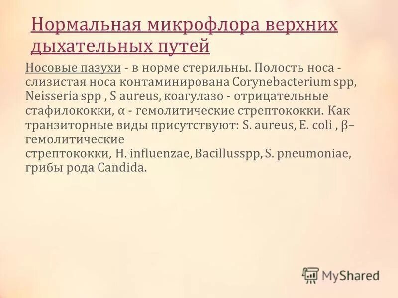 Микрофлора полости носа в норме. Дыхательные пути микрофлора в норме. Нормальная микрофлора дыхательных путей.