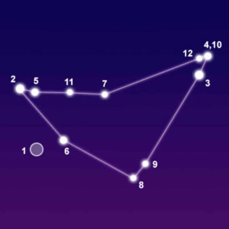 Capricorn constellation zodiac sign at starry night sky. Download a Free Preview