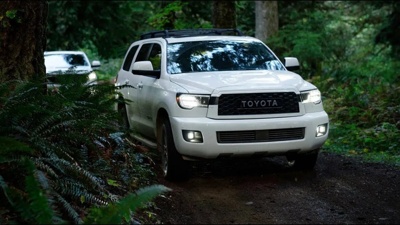 Sequoia trd. Тойота секвойя 2025. toyota sequoia 1 43. toyota sequoia 2025. тойота секвойя 2025 trd pro.