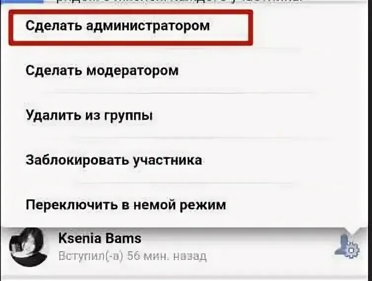 Как назначить администратором