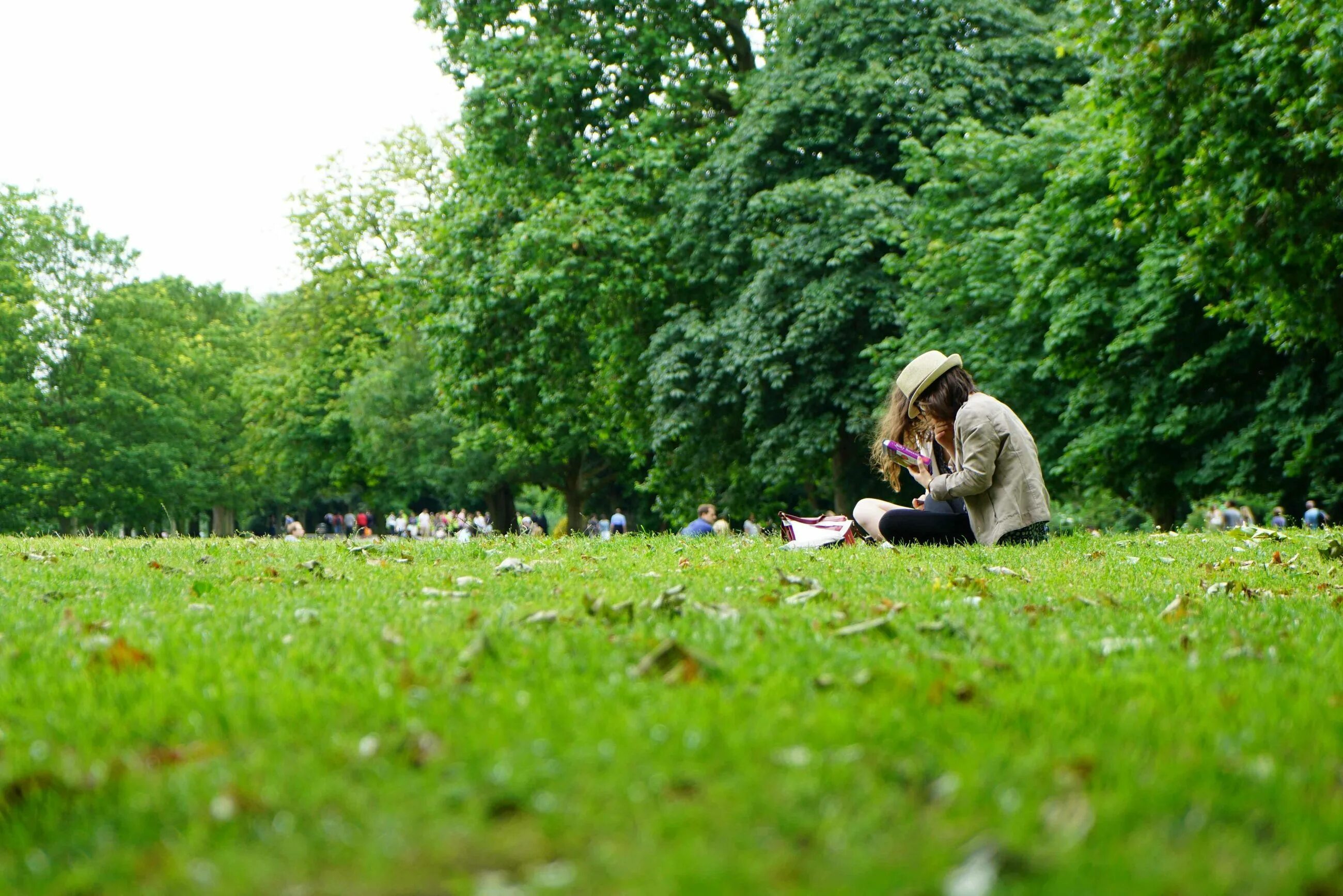 He walks in the park. Прогулки в парках. Люди на траве в парке. Трава в парке. Люди на лужайке.