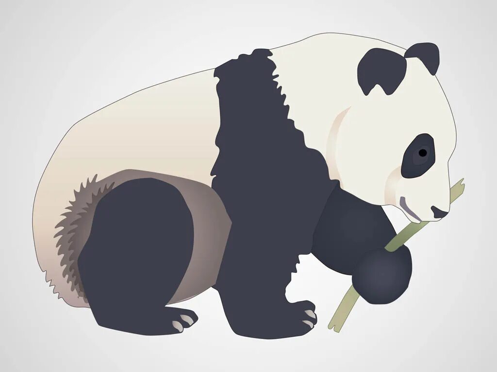 Pandas ai