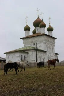 Погода ныроб на три дня