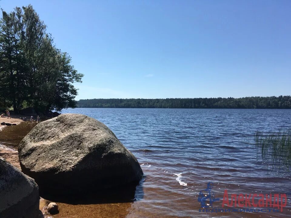красный сокол выборгский район. погода в красных баках на 10 дней. погода красная долина ленинградская. погода красная долина ленинградская. парк красная долина выборгский район.