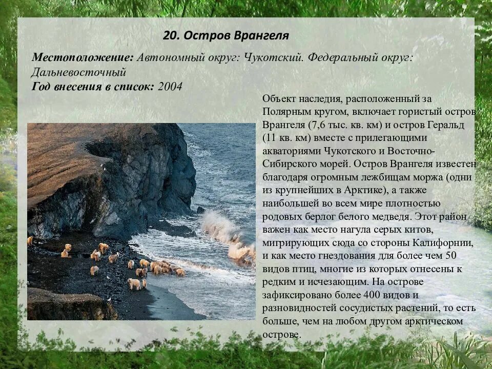 Заповедник остров врангеля описание. Заповедники арктических пустынь остров врангеля. Остров врангеля всемирное наследие юнеско. Арктика остров врангеля. Заповедники расположенные в зоне арктических пустынь.