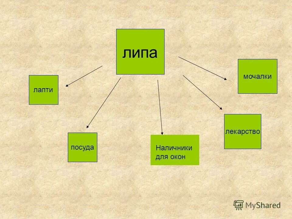 что делают из древесмн. изделия из древесины окружающий мир. что делают из древесины. деревья - источник древесины. продукт переработки древесины.