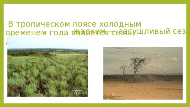 Тропический пояс время года