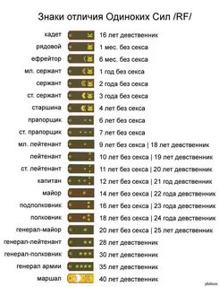 Прапорщик стал лейтенанта