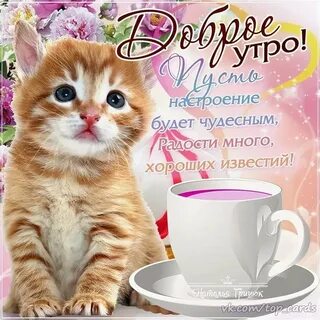 Пожелать доброго утра девушке короткие