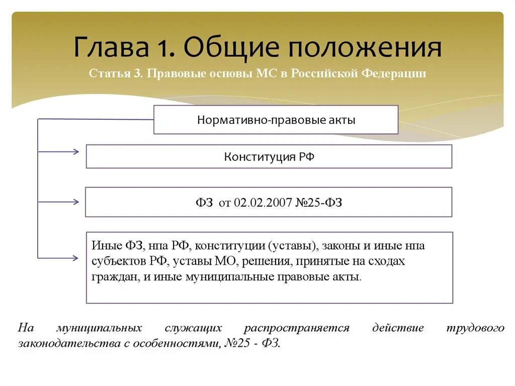 Глава 1 общие положения. Основы мс. основные положения статьи это. глава 66. общие положения.