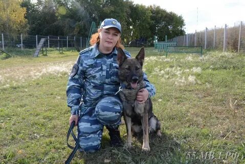 Кинолог омск
